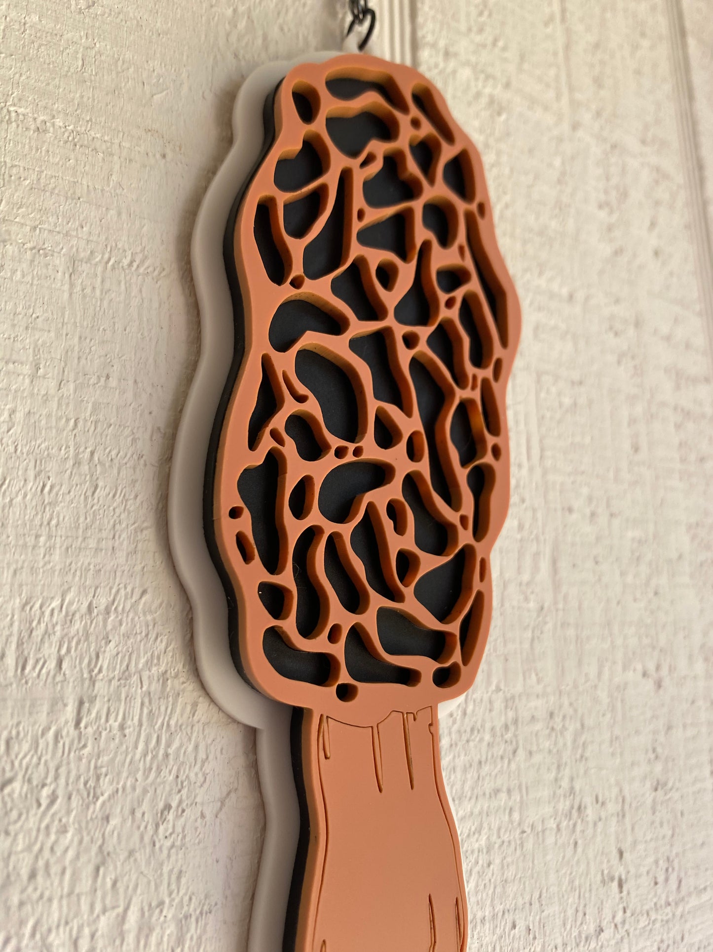 SALE: 6” Morel Acrylic Wall Hanging