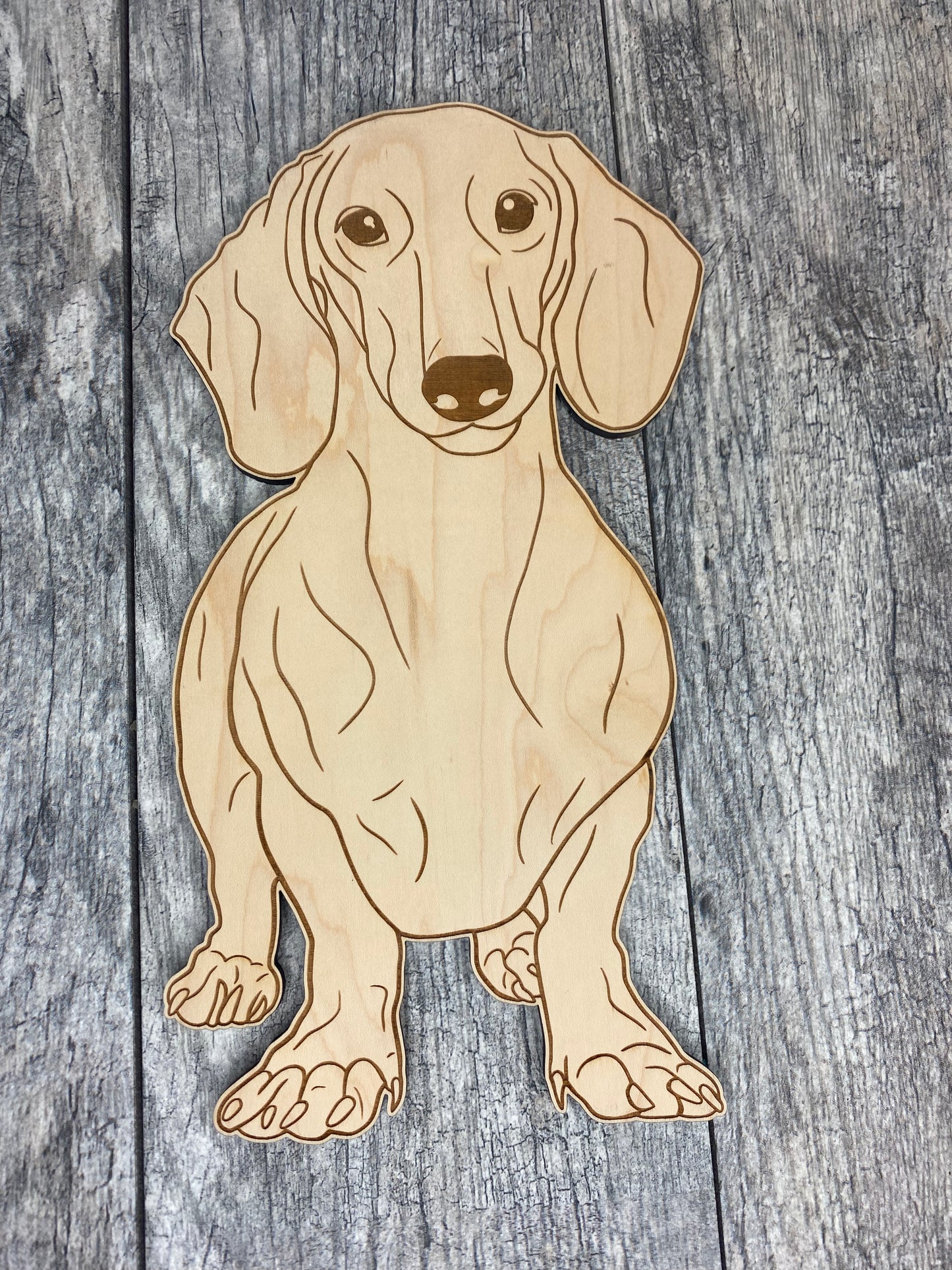 Dogs: 12” Dachshund