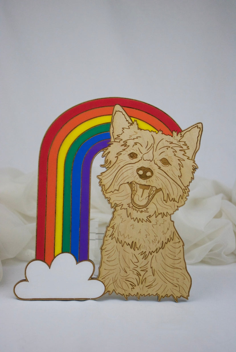 Rainbow Bridge Yorkie