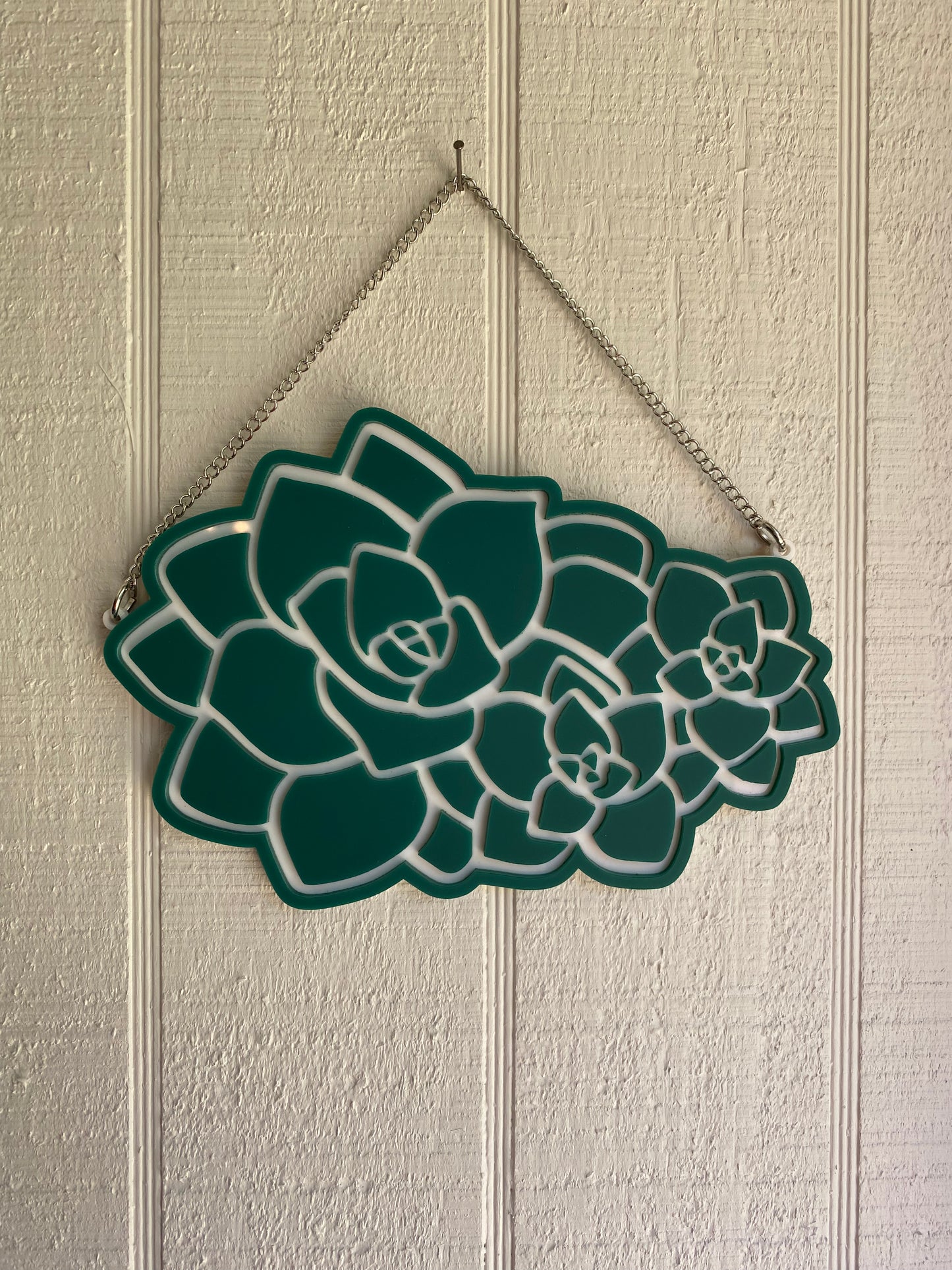 SALE 6” Succulent Trio Acrylic Wall Hanging