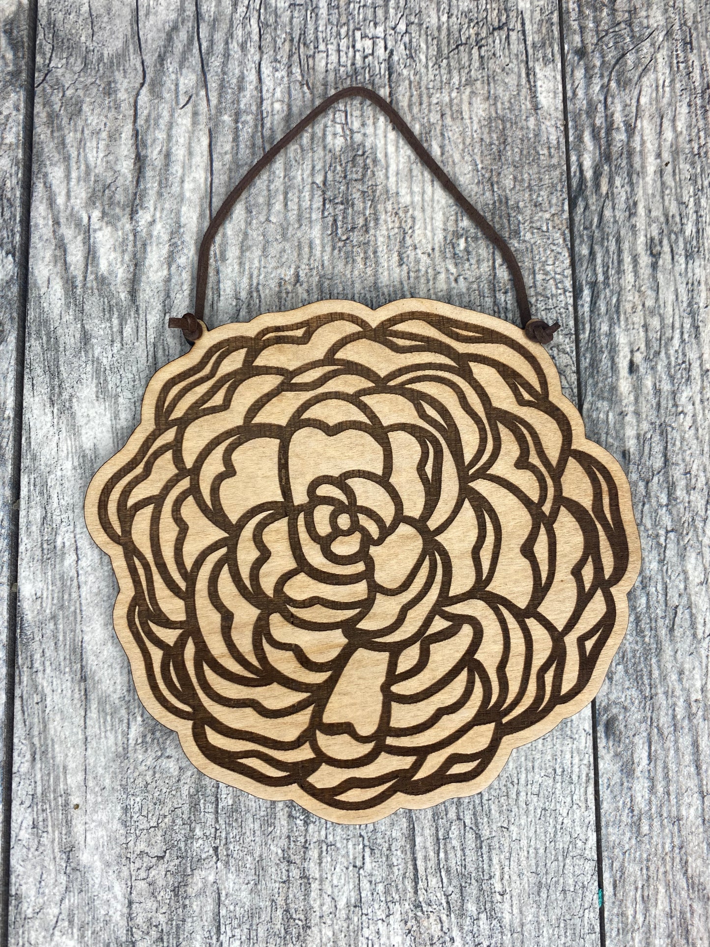 SALE 6” Succulent Wood + Leather